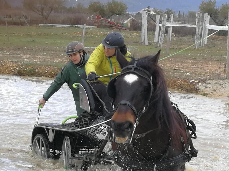 Resultados 1ª Fase del Campeonato Navarro de Enganches 2018 en el Club Deportivo Enganches Finca "La Pinturita"